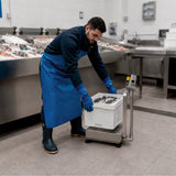 Báscula de Plataforma a Prueba de Agua 200 Kg con Indicador Rhino BAPAG-200-IND