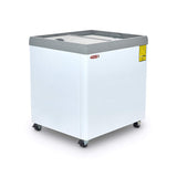 Congelador Horizontal Tapa Cristal Plano 165L Torrey CHC-80PR